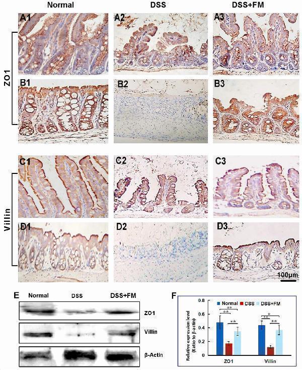pb9234 fmicb 11 622354 g004