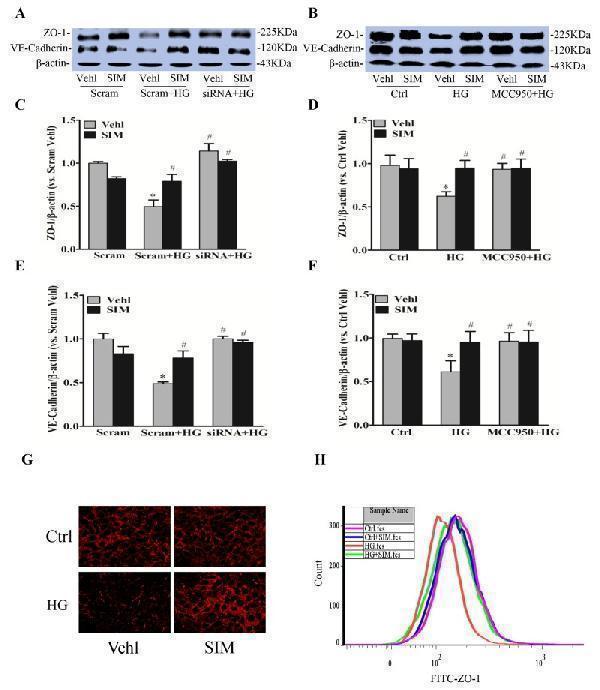 pb9234 oncotarget 08 91291 g005