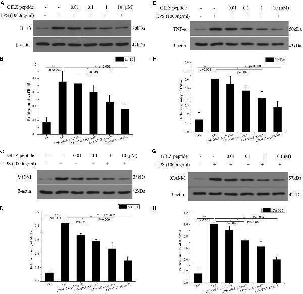 pb9246 fphar 09 00331 g007