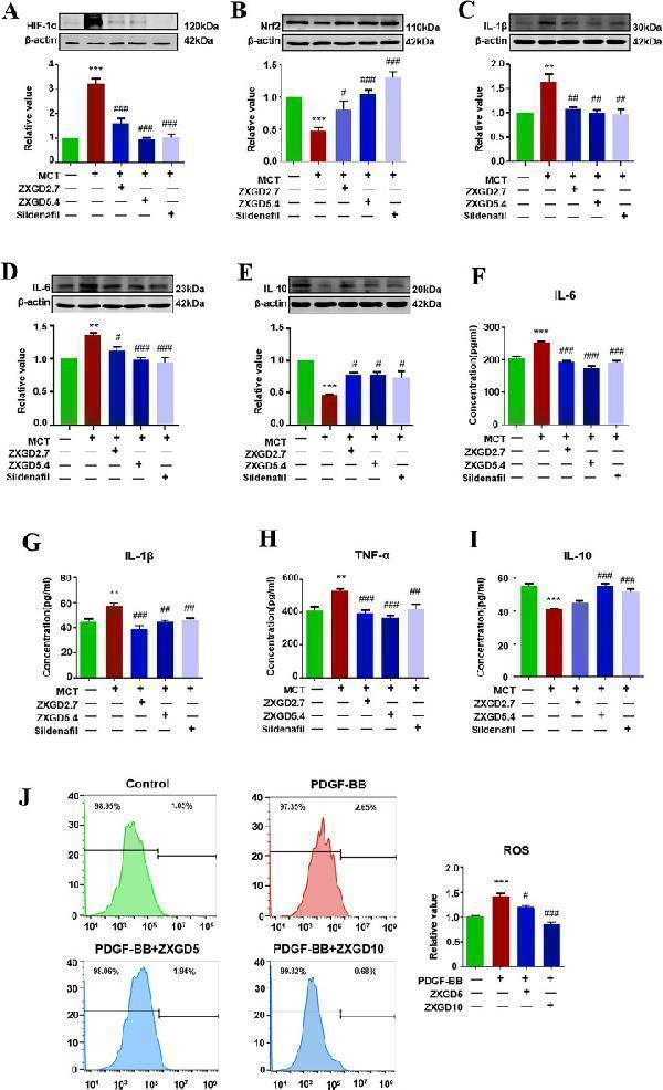 pb9253 13020_2024_1039_fig5_html