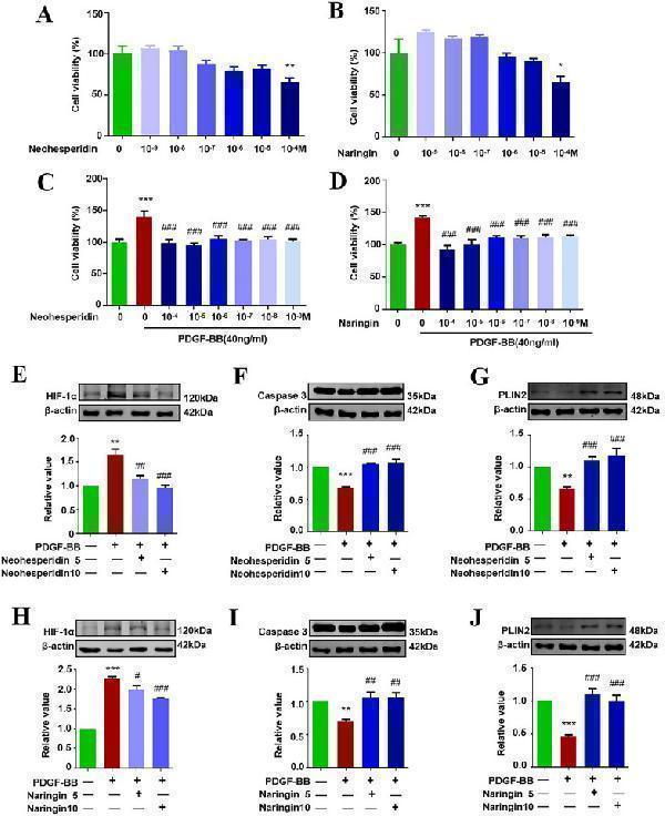 pb9253 13020_2024_1039_fig8_html