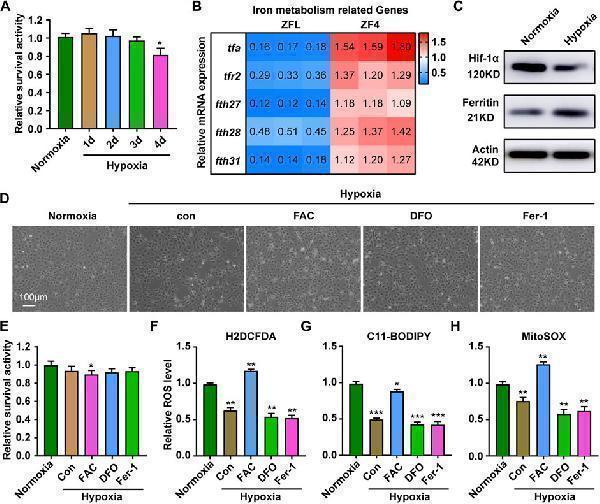 pb9253 fphys 13 925752 g006
