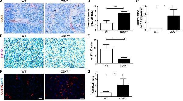 pb9253 oncotarget 08 22406 g002