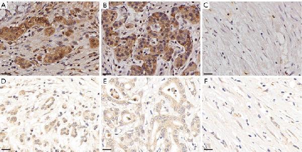 pb9253 qims 15 01 662 f3