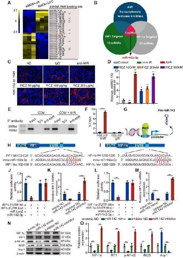 pb9253 thnov10p12011g004