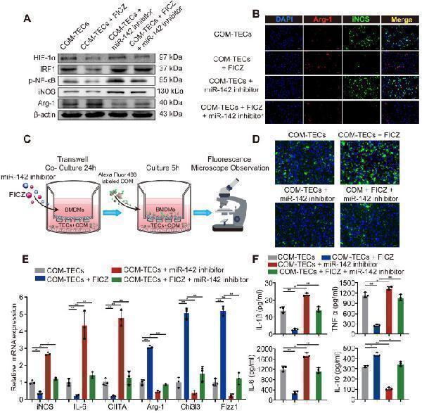pb9253 thnov10p12011g005