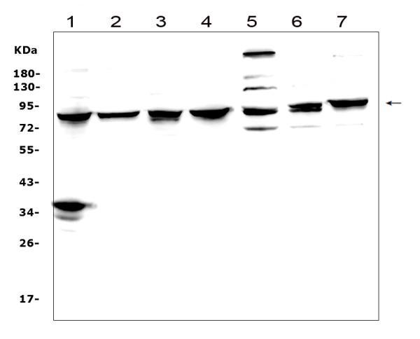 pb9262 1_2