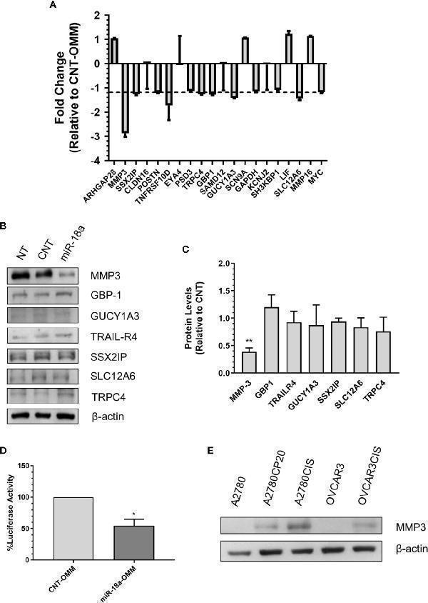 pb9267 fonc 10 602670 g004
