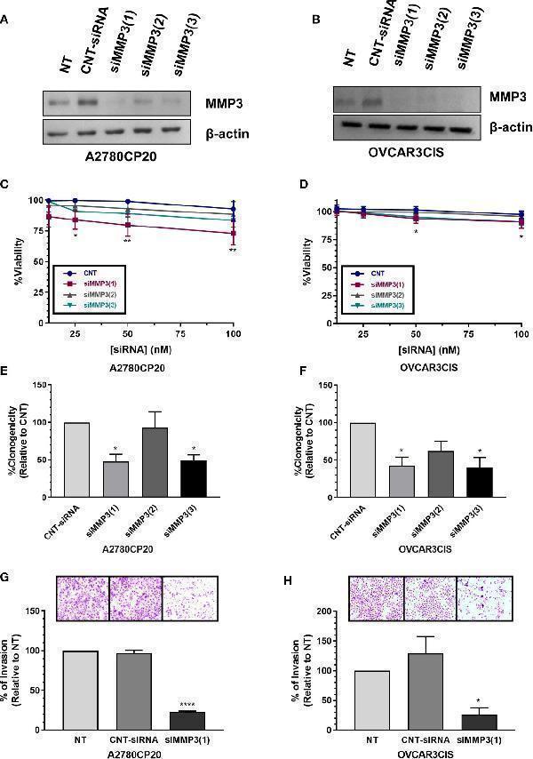 pb9267 fonc 10 602670 g005