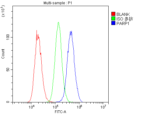 pb9309 parp1 primary antibodies fcm testing 19