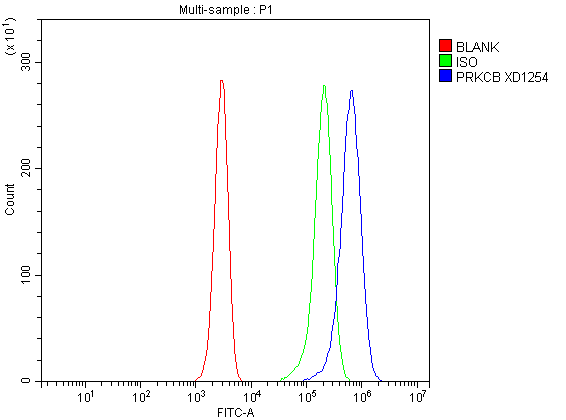pb9319 prkcb primary antibodies fcm testing 1