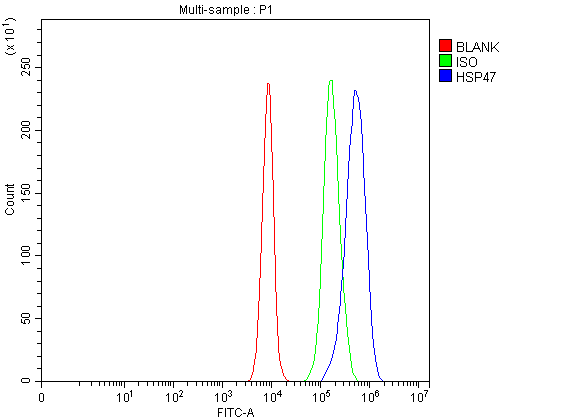pb9325 hsp47 primary antibodies fcm testing 1