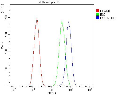 Figure 8. Flow Cytometry analysis of A549 cells using anti-ERAB antibody (PB9336). Overlay histogram showing A549 cells stained with PB9336 (Blue line).The cells were blocked with 10% normal goat serum. And then incubated with rabbit anti-ERAB Antibody (PB9336, 1microg/1x106 cells) for 30 min at 20°C. DyLight?488 conjugated goat anti-rabbit IgG (BA1127, 5-10microg/1x106 cells) was used as secondary antibody for 30 minutes at 20°C. Isotype control antibody (Green line) was rabbit IgG (1microg/1x106) used under the same conditions. Unlabelled sample (Red line) was also used as a control. Figure 8. Flow Cytometry analysis of A549 cells using anti-ERAB antibody (PB9336). Overlay histogram showing A549 cells stained with PB9336 (Blue line).The cells were blocked with 10% normal goat serum. And then incubated with rabbit anti-ERAB Antibody (PB9336, 1microg/1x106 cells) for 30 min at 20°C. DyLight?488 conjugated goat anti-rabbit IgG (BA1127, 5-10microg/1x106 cells) was used as secondary antibody for 30 minutes at 20°C. Isotype control antibody (Green line) was rabbit IgG (1microg/1x106) used under the same conditions. Unlabelled sample (Red line) was also used as a control.