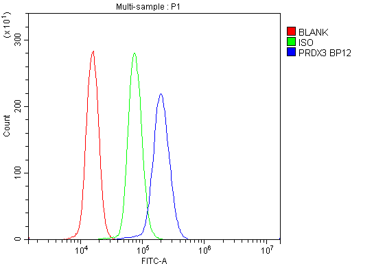 Figure 7. Flow Cytometry analysis of U937 cells using anti-Peroxiredoxin 3 antibody (PB9349). Overlay histogram showing U937 cells stained with PB9349 (Blue line). To facilitate intracellular staining, cells were fixed with 4% paraformaldehyde and permeabilized with permeabilization buffer. The cells were blocked with 10% normal goat serum. And then incubated with rabbit anti-Peroxiredoxin 3 Antibody (PB9349,1microg/1x106 cells) for 30 min at 20°C. DyLight®488 conjugated goat anti-rabbit IgG (BA1127, 5-10microg/1x106 cells) was used as secondary antibody for 30 minutes at 20°C. Isotype control antibody (Green line) was rabbit IgG (1microg/1x106) used under the same conditions. Unlabelled sample without incubation with primary antibody and secondary antibody (Red line) was used as a blank control.