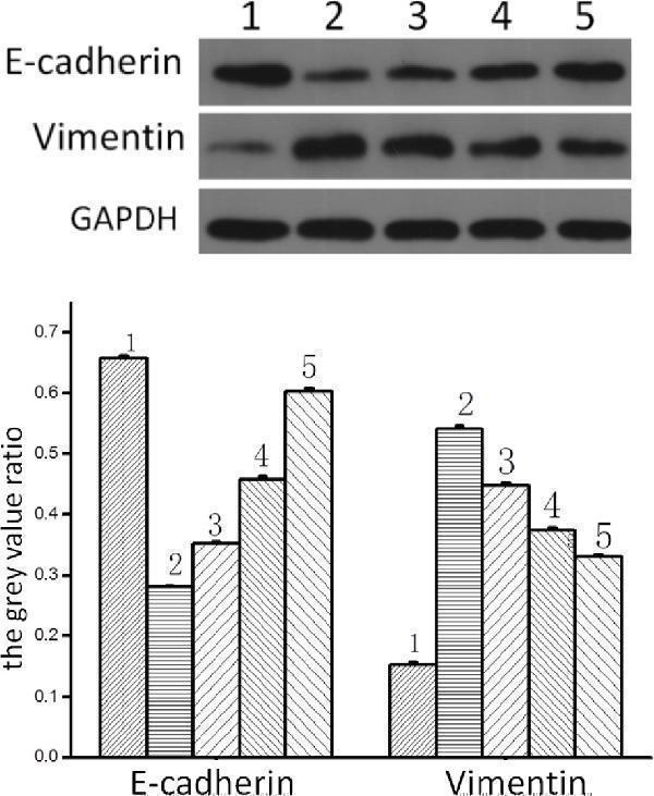 pb9359 j_chem 2018 0042_fig_002