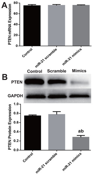 pb9385 fig 3 1x