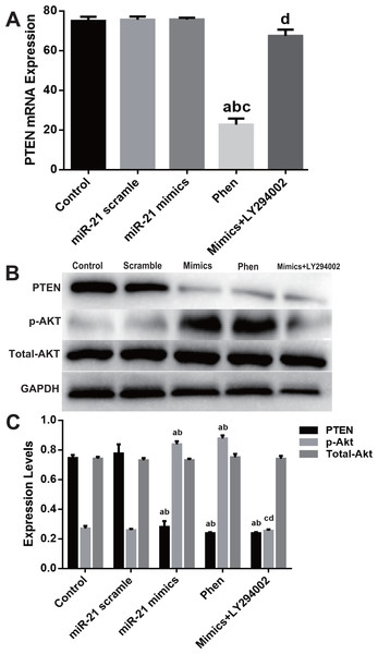 pb9385 fig 5 1x