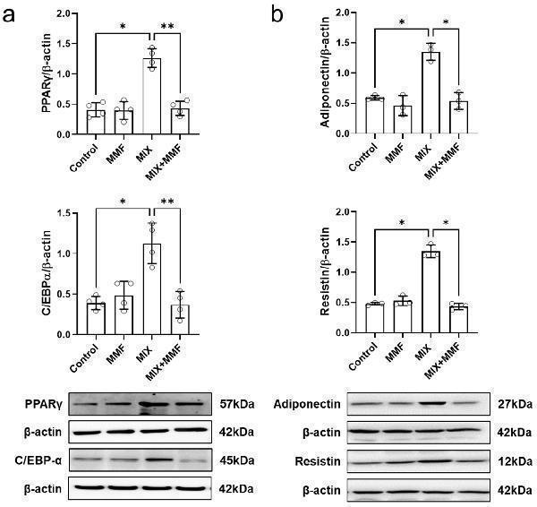 pb9412 antioxidants 13 01496 g005