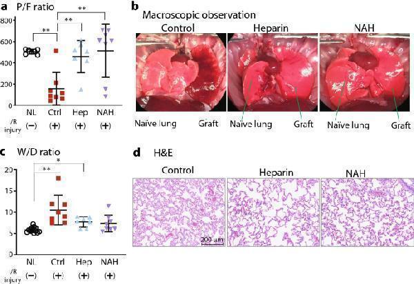 pb9427 41598_2021_91777_fig2_html