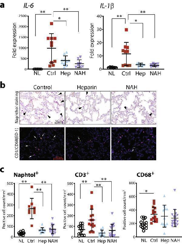 pb9427 41598_2021_91777_fig3_html