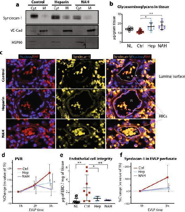 pb9427 41598_2021_91777_fig4_html