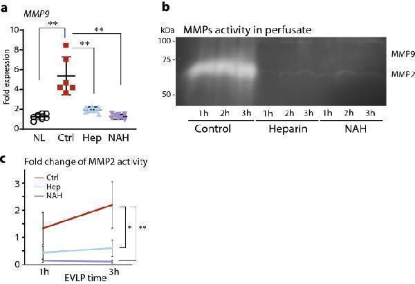 pb9427 41598_2021_91777_fig5_html