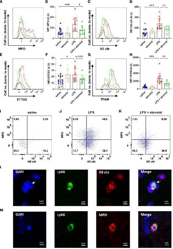 Atenolol decreased the production of NETs induced by LPS