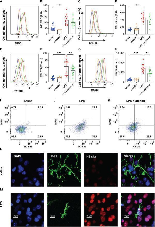 Atenolol decreased the production of MiETs induced by LPS