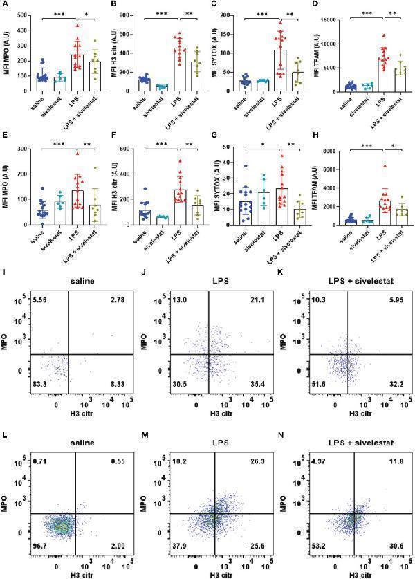 Sivelestat decreased the production of ETs induced by LPS