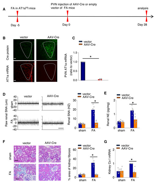 pb9449 fig 3 1x