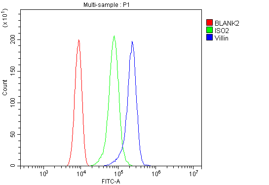 pb9457 villin primary antibodies fcm testing 12