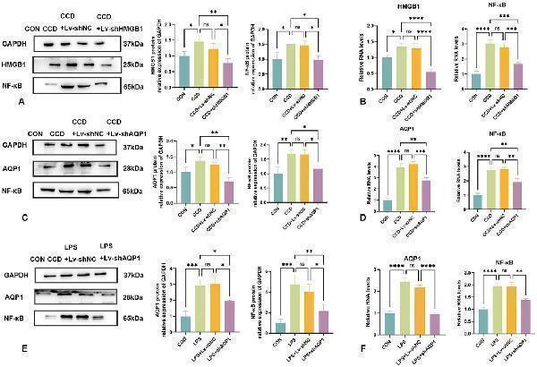 pb9473 fphar 15 1469223 g007