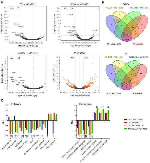pb9478 jcav15p1138g006