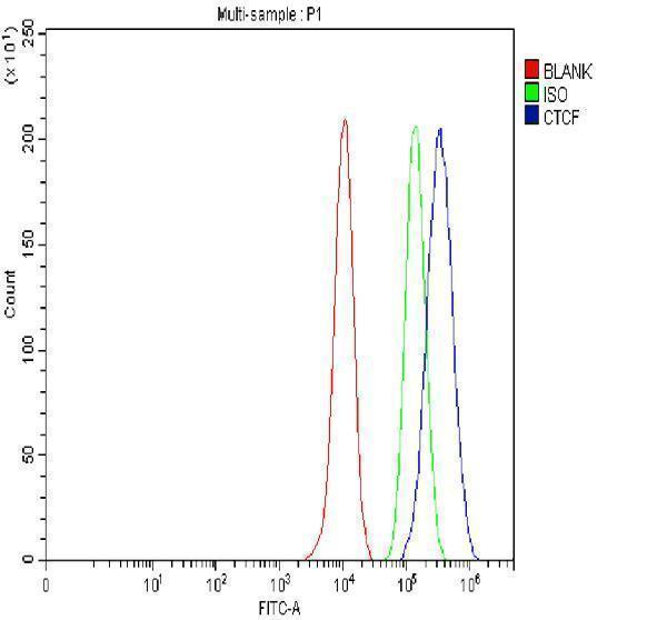 pb9493 ctcf primary antibodies fcm testing 3