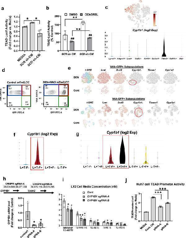 pb9546 41467_2023_38406_fig3_html