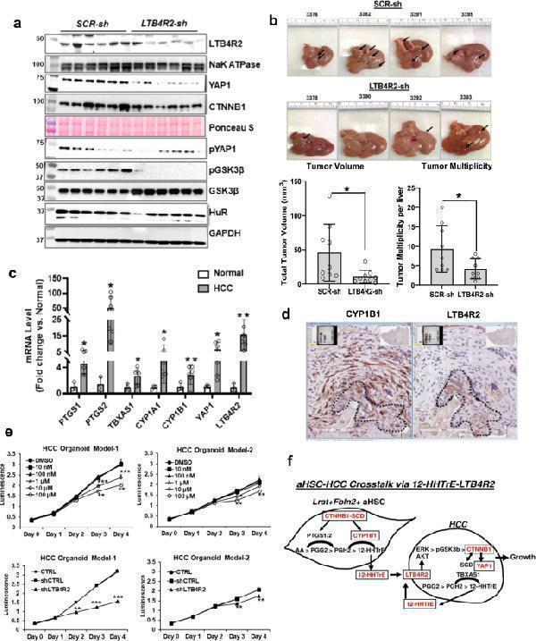 pb9546 41467_2023_38406_fig4_html