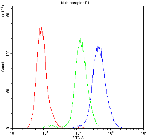 Figure 2. Flow Cytometry analysis of A431 cells using anti-PKC-eta antibody (PB9556). Overlay histogram showing A431 cells stained with PB9556 (Blue line). To facilitate intracellular staining, cells were fixed with 4% paraformaldehyde and permeabilized with permeabilization buffer. The cells were blocked with 10% normal goat serum. And then incubated with rabbit anti-PKC-eta Antibody (PB9556,1microg/1x106 cells) for 30 min at 20°C. DyLight®488 conjugated goat anti-rabbit IgG (BA1127, 5-10microg/1x106 cells) was used as secondary antibody for 30 minutes at 20°C. Isotype control antibody (Green line) was rabbit IgG (1microg/1x106) used under the same conditions. Unlabelled sample (Red line) was also used as a control.