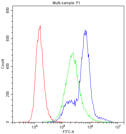 Figure 3. Flow Cytometry analysis of K562 cells using anti-PKC-eta antibody (PB9556). Overlay histogram showing K562 cells stained with PB9556 (Blue line). To facilitate intracellular staining, cells were fixed with 4% paraformaldehyde and permeabilized with permeabilization buffer. The cells were blocked with 10% normal goat serum. And then incubated with rabbit anti-PKC-eta Antibody (PB9556,1microg/1x106 cells) for 30 min at 20°C. DyLight®488 conjugated goat anti-rabbit IgG (BA1127, 5-10microg/1x106 cells) was used as secondary antibody for 30 minutes at 20°C. Isotype control antibody (Green line) was rabbit IgG (1microg/1x106) used under the same conditions. Unlabelled sample (Red line) was also used as a control.