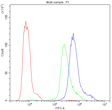 Figure 4. Flow Cytometry analysis of MCF-7 cells using anti-PKC-eta antibody (PB9556). Overlay histogram showing MCF-7 cells stained with PB9556 (Blue line). To facilitate intracellular staining, cells were fixed with 4% paraformaldehyde and permeabilized with permeabilization buffer. The cells were blocked with 10% normal goat serum. And then incubated with rabbit anti-PKC-eta Antibody (PB9556,1microg/1x106 cells) for 30 min at 20°C. DyLight®488 conjugated goat anti-rabbit IgG (BA1127, 5-10microg/1x106 cells) was used as secondary antibody for 30 minutes at 20°C. Isotype control antibody (Green line) was rabbit IgG (1microg/1x106) used under the same conditions. Unlabelled sample (Red line) was also used as a control.