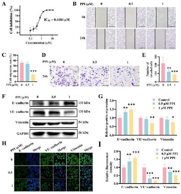 pb9561 ijms 26 04630 g004