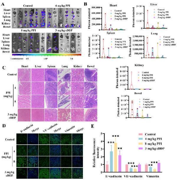 pb9561 ijms 26 04630 g007