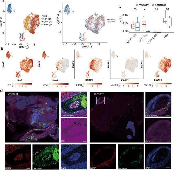 pb9603 41419_2024_6571_fig5_html