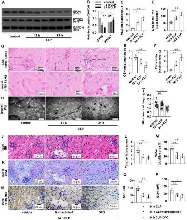 pb9609 13578_2021_734_fig1_html