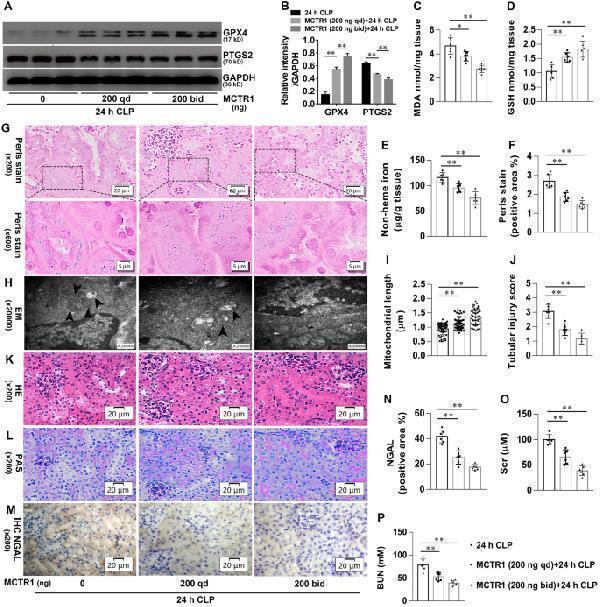 pb9609 13578_2021_734_fig2_html