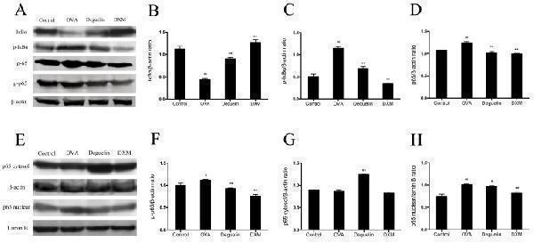 pb9611 ijbsv13p0492g009