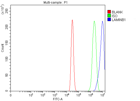 pb9611 lmnb1 primary antibodies fcm testing 11