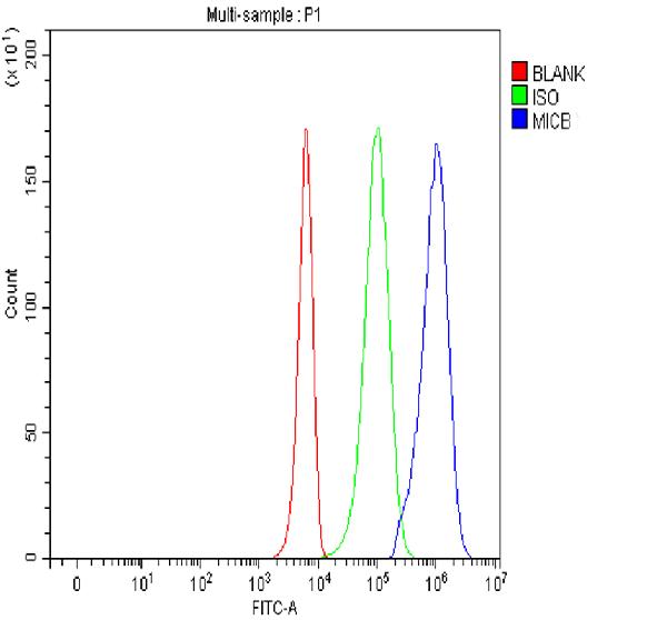 Figure 2. Flow Cytometry analysis of K562 cells using anti-MICB antibody (PB9613). Overlay histogram showing K562 cells stained with PB9613 (Blue line). The cells were fixed with 4% paraformaldehyde and blocked with 10% normal goat serum. And then incubated with rabbit anti-MICB Antibody (PB9613, 1 microg/1x106 cells) for 30 min at 20°C. DyLight®488 conjugated goat anti-rabbit IgG (BA1127, 5-10 microg/1x106 cells) was used as secondary antibody for 30 minutes at 20°C. Isotype control antibody (Green line) was rabbit IgG (1 microg/1x106) used under the same conditions. Unlabelled sample without incubation with primary antibody and secondary antibody (Red line) was used as a blank control.