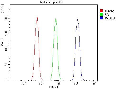 Figure 6. Flow Cytometry analysis of HL-60 cells using anti-HMG4 antibody (PB9633). Overlay histogram showing HL-60 cells stained with PB9633 (Blue line). To facilitate intracellular staining, cells were fixed with 4% paraformaldehyde and permeabilized with permeabilization buffer. The cells were blocked with 10% normal goat serum. And then incubated with rabbit anti-HMG4 Antibody (PB9633, 1microg/1x106 cells) for 30 min at 20°C. DyLight®488 conjugated goat anti-rabbit IgG (BA1127, 5-10microg/1x106 cells) was used as secondary antibody for 30 minutes at 20°C. Isotype control antibody (Green line) was rabbit IgG (1microg/1x106) used under the same conditions. Unlabelled sample without incubation with primary antibody and secondary antibody (Red line) was used as a blank control. Figure 6. Flow Cytometry analysis of HL-60 cells using anti-HMG4 antibody (PB9633). Overlay histogram showing HL-60 cells stained with PB9633 (Blue line). To facilitate intracellular staining, cells were fixed with 4% paraformaldehyde and permeabilized with permeabilization buffer. The cells were blocked with 10% normal goat serum. And then incubated with rabbit anti-HMG4 Antibody (PB9633, 1microg/1x106 cells) for 30 min at 20°C. DyLight®488 conjugated goat anti-rabbit IgG (BA1127, 5-10microg/1x106 cells) was used as secondary antibody for 30 minutes at 20°C. Isotype control antibody (Green line) was rabbit IgG (1microg/1x106) used under the same conditions. Unlabelled sample without incubation with primary antibody and secondary antibody (Red line) was used as a blank control.