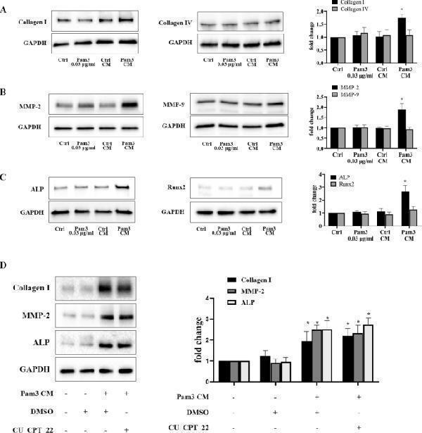 pb9668 10020_2022_433_fig2_html