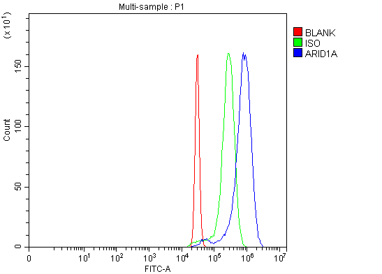 Flow Cytometry analysis of Hela cells using anti-ARID1A antibody (PB9685)